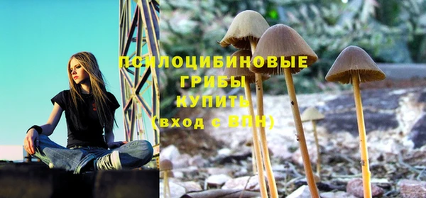 мескалин Рославль