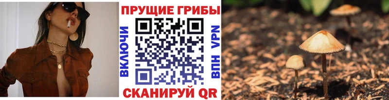где найти наркотики  Холмск  Галлюциногенные грибы Cubensis 